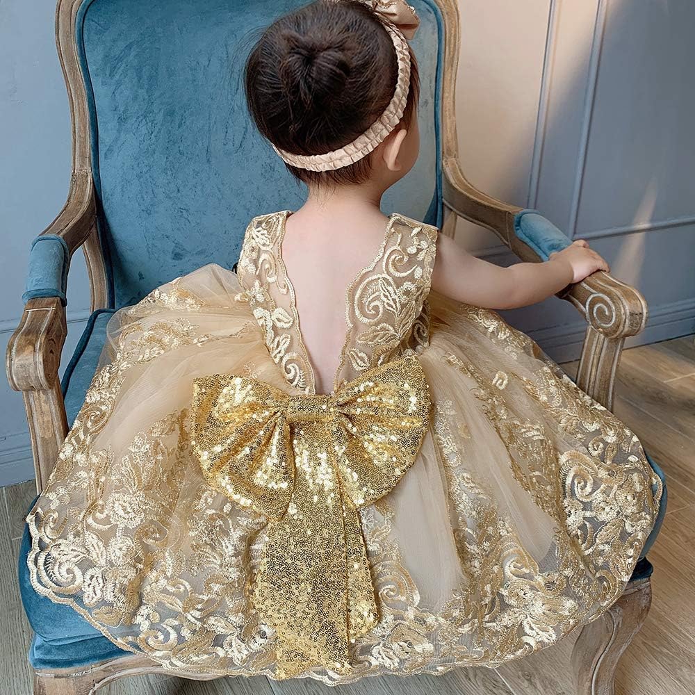 Girls Lace Embroidery Occasion Dress, 0–6 Years